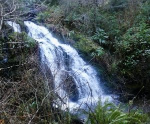 Olympic Peninsula Waterfalls
