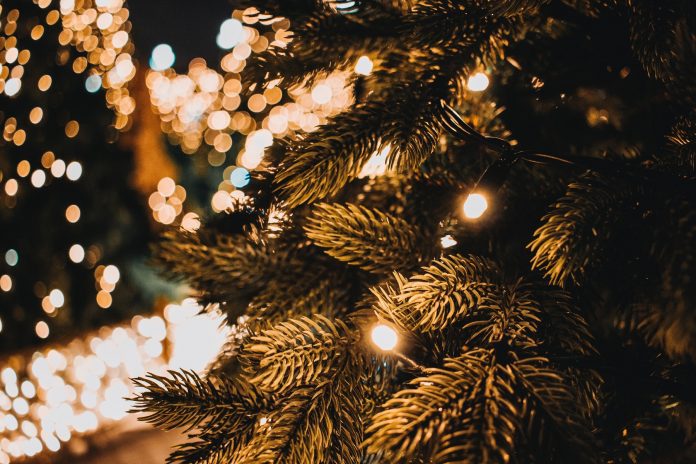 Adna Community Tree Lighting