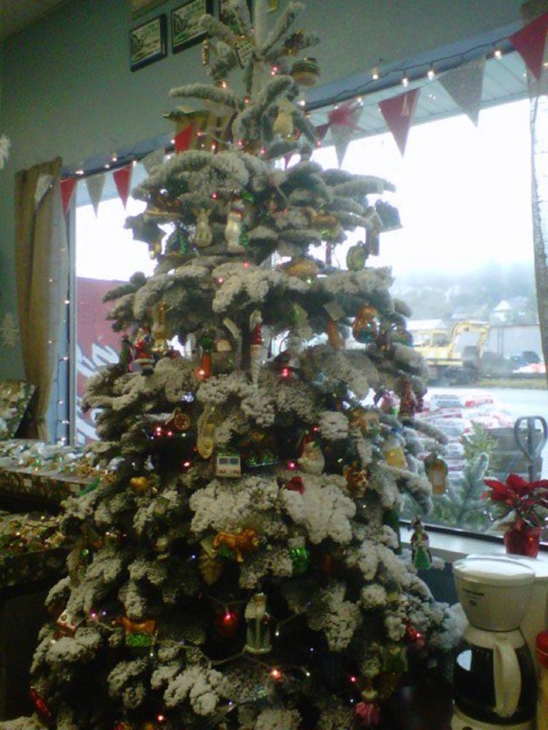 Christmas Trees Lewis County
