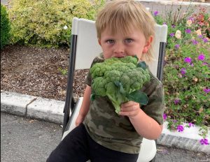 Chehalis Farmers Market