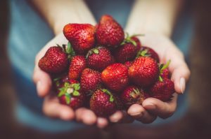 The Community Farmers Market of Chehalis @ The Community Farmers Market of Chehalis