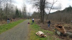 Discovery Trail Work Party @ Chehalis River Discovery Trail, Centralia