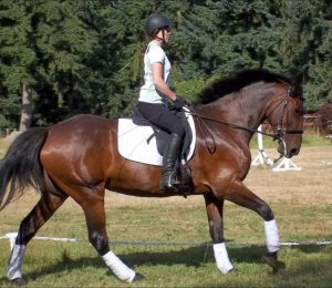 High Tail Tack Winlock