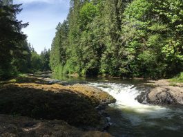 Lewis County waters