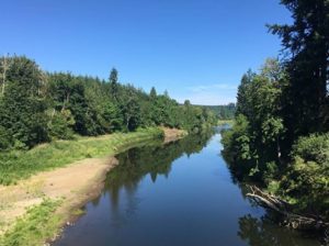 Lewis County waters