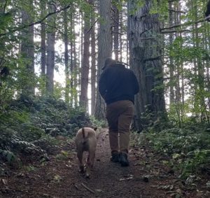 Friendly trails Lewis County