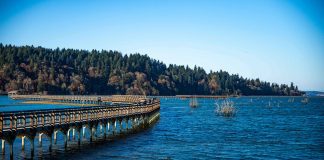 Billy Frank Jr. Nisqually National Wildlife Refuge