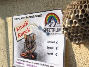 Spectrum Pest Management