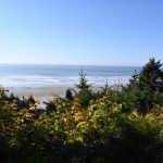Where to Stay at the Washington Coast Ocean Crest Resort beach view