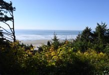 Ocean Crest Resort