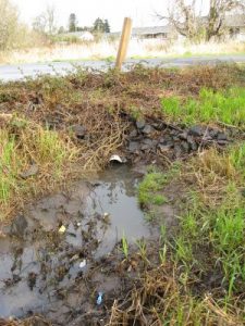 Stormwater Management Workshop: Keeping our Streams Healthy! @ Borst Park Kitchen #1