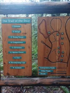 Lewis and Clark State Park Trail of the Deer