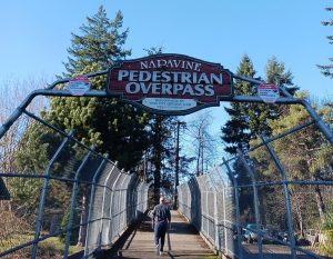 Mayme Shaddock Park Napavine