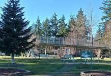 Mayme Shaddock Park Napavine