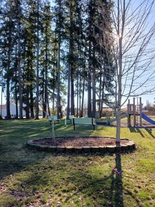 Mayme Shaddock Park Napavine