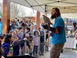 Meet Raptor Ambassadors with the Falconer @ Hands On Children's Museum