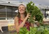 Chehalis Centralia Lewis County Farmers Markets