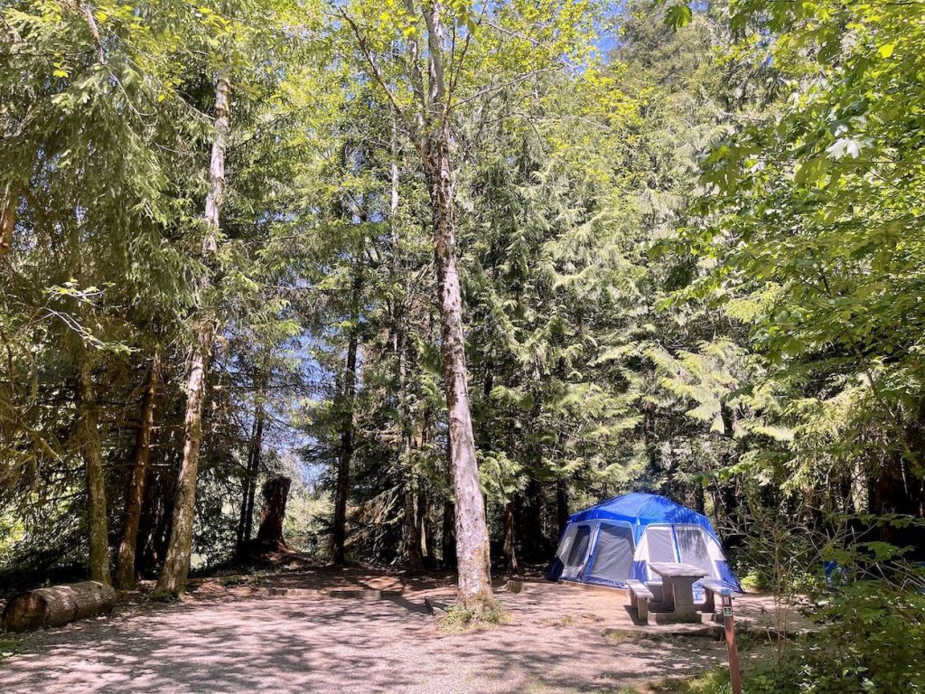 where to camp washington coast