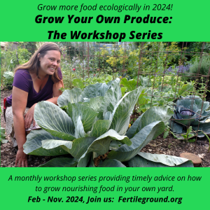 Grow Your Own Produce: The Workshop Series @ Virtual