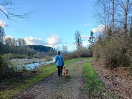 Chehalis River Discovery Trail