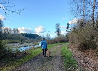 Chehalis River Discovery Trail